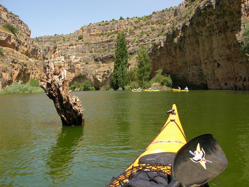 Piraguas con monitores