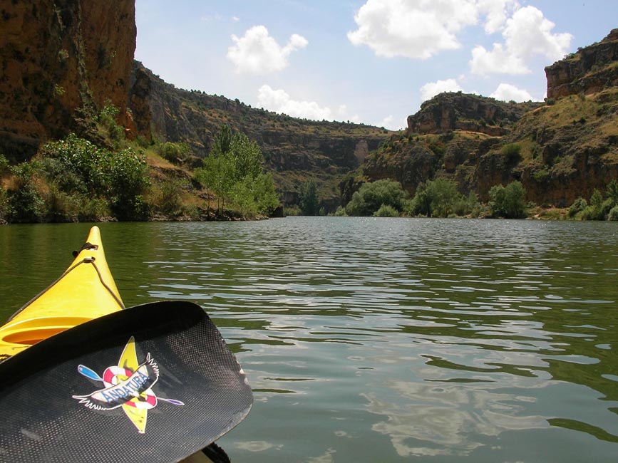 Grupo de piraguas en aguas tranquilas